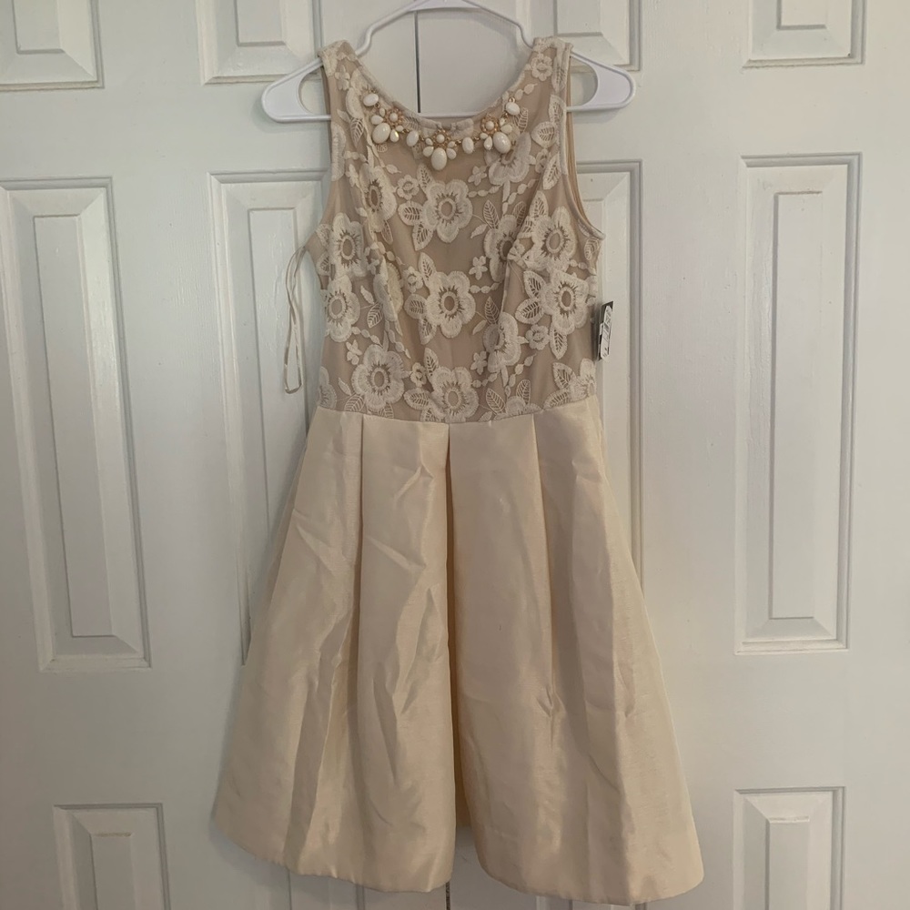 Taylor Dresses -beaded lace dress